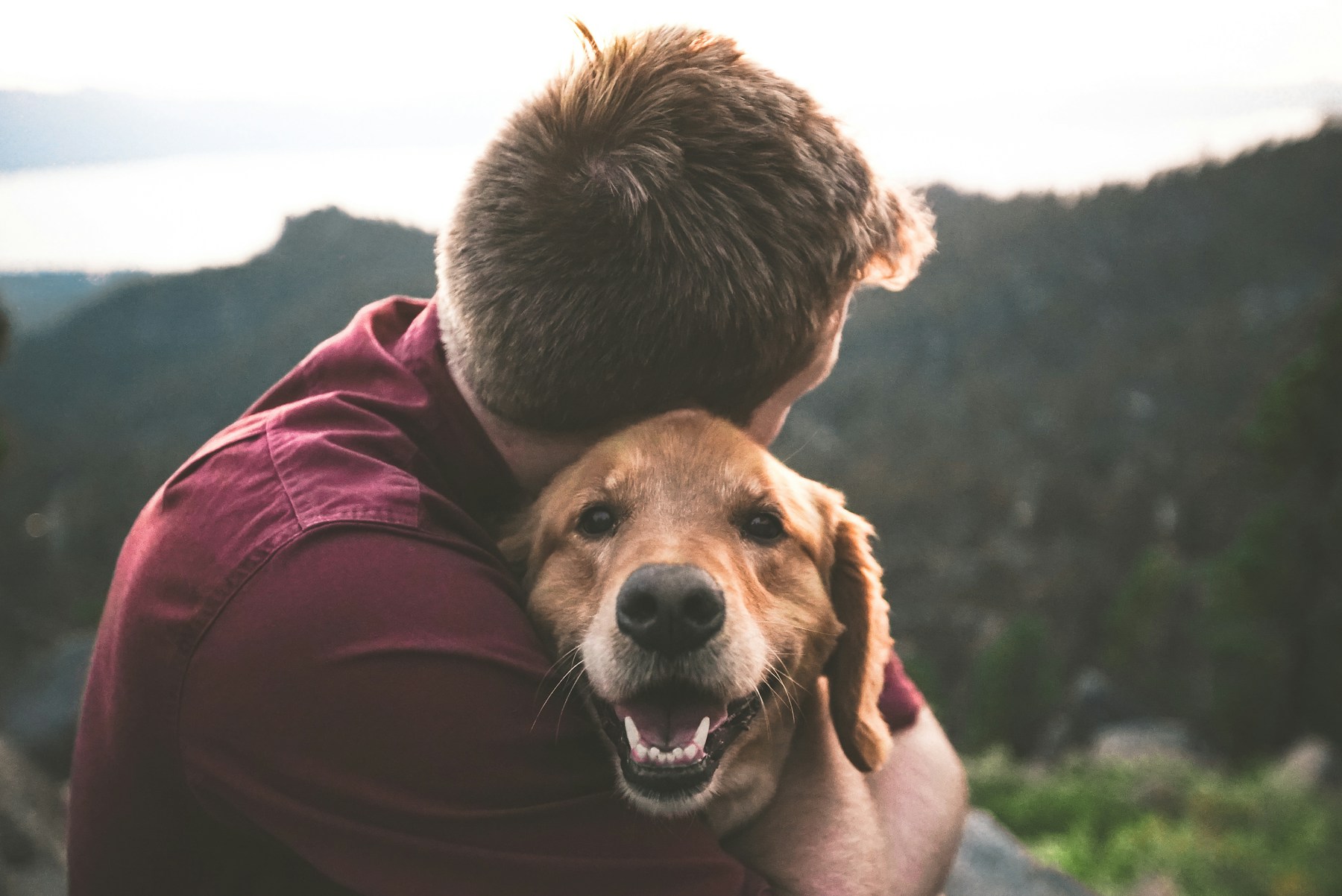 A man hugging his golden dog outdoors